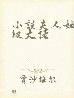 小说夫人她是满级大佬