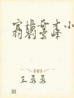 官场奇才小说陆羽刘云峰