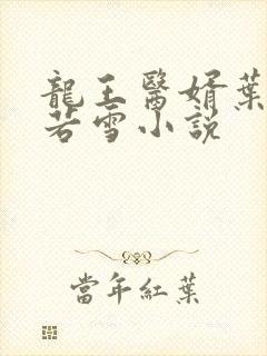 龙王医婿叶凡唐若雪小说