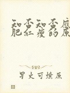 知否知否应是绿肥红瘦的原著小说