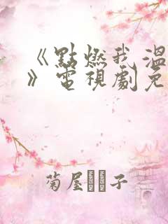 《点燃我温暖你》电视剧免费观看