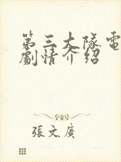 第三大队电视剧剧情介绍