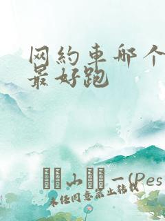 网约车哪个平台最好跑