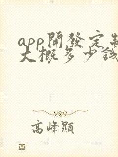 app开发定制大概多少钱