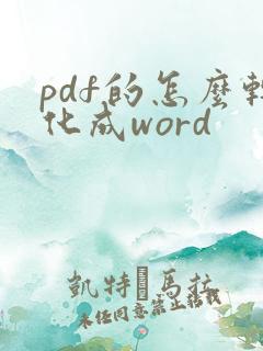 pdf的怎么转化成word