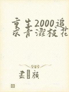 重生2000追求青涩校花同桌开始痞子老妖全文