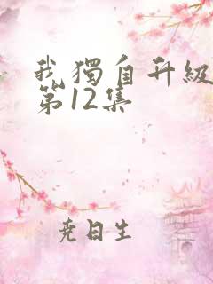 我独自升级动漫第12集