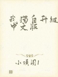 我独自升级动漫中文版