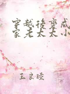 穿越后变成了农家老太太小说