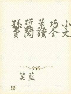 孙哲叶巧小说免费阅读全文最新章节