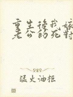 重生后我嫁给了老公的死对头 短剧