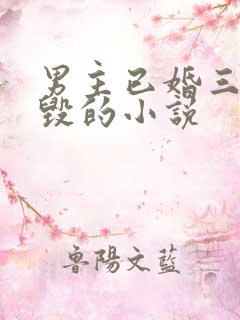 男主已婚三观尽毁的小说