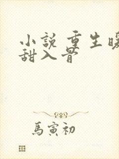 小说 重生暖婚甜入骨