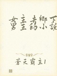 女主去乡下碰见男主的小说