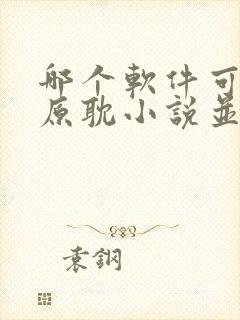 哪个软件可以写原耽小说并且发布