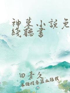 神墓小说免费在线听书