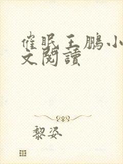 催眠王鹏小说全文阅读