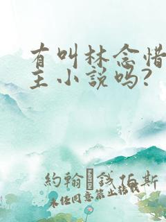 有叫林念惜的女主小说吗?