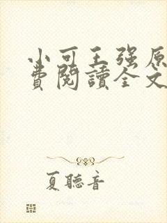 小可王强原文免费阅读全文最新章节