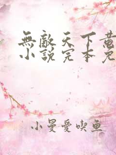 无敌天下黄小龙小说完本免费阅读