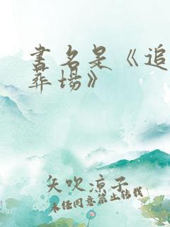 书名是《追妻火葬场》