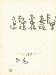 《致青春·原来你还在这里》