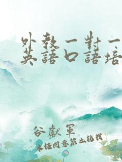 外教一对一在线英语口语培训机构