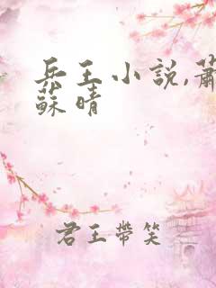 兵王小说,萧晨苏晴