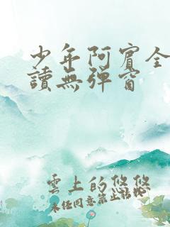 少年阿宾全文阅读无弹窗