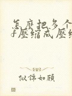 怎么把多个pdf压缩成压缩包