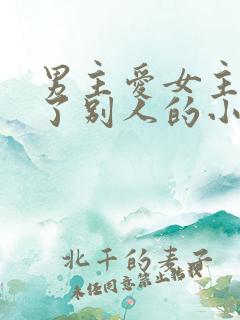 男主爱女主却娶了别人的小说