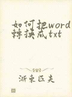如何把word转换成txt
