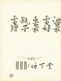 电瓶车电池哪个牌子最好最耐用