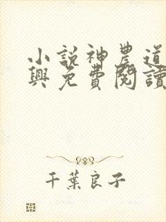 小说神农道君赵兴免费阅读全文无窗口