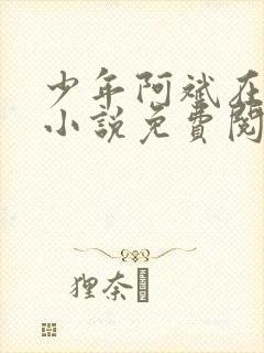 少年阿斌在线听小说免费阅读