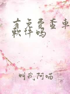 有免费查车况的软件吗