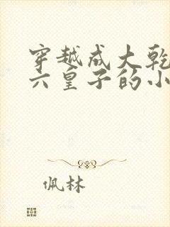 穿越成大乾王朝六皇子的小说