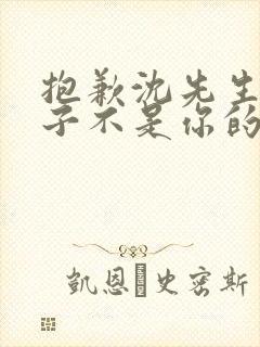 抱歉沈先生,孩子不是你的短剧播放