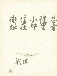 微信小程序的网址在哪里看