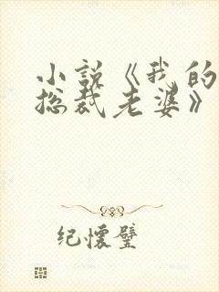 小说《我的冰山总裁老婆》