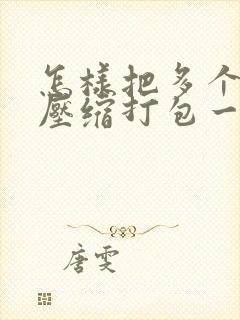 怎样把多个文件压缩打包一个文件