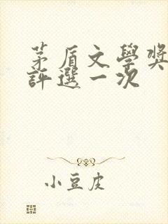 茅盾文学奖几年评选一次