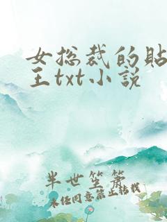 女总裁的贴身兵王txt小说