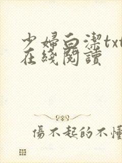 少妇白洁txt在线阅读