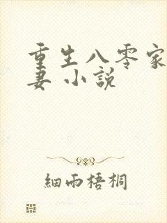 重生八零家有悍妻 小说