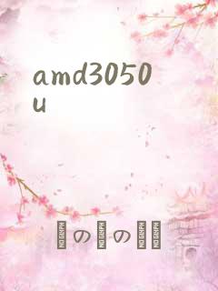 amd3050u