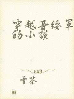 穿越晋绥军少帅的小说