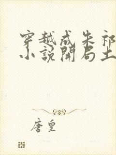 穿越成朱祁镇的小说开局土木堡