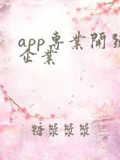 app专业开发企业