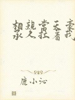 相亲当天豪门继承人拉着我领证 无弹窗